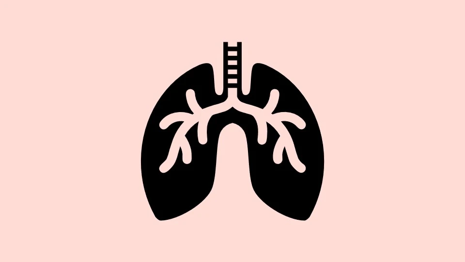 Icon of lungs on light orange background.