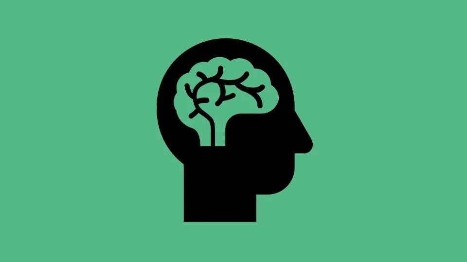 A brain icon on a green background.