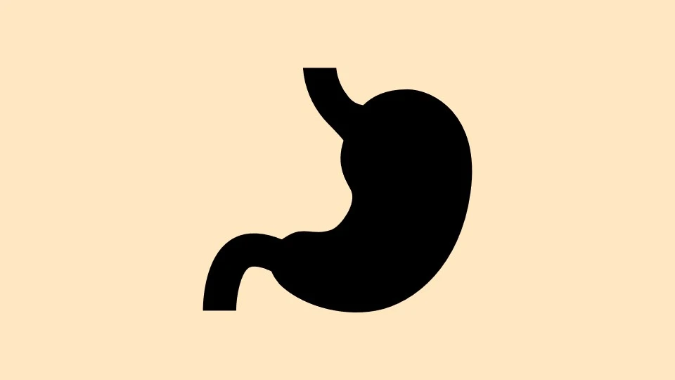 Icon of stomach on light orange background.