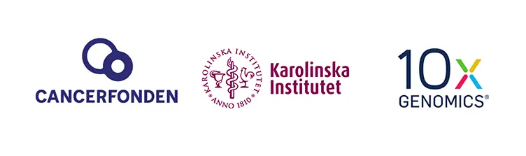 Image of logotypes for the four sponsors to the Pancreatic Cancer Congress Karolinska Institutet (PanCKI) 2024: Cancerfonden, Karolinska Institutet, 10X Genomics och AMGEN.