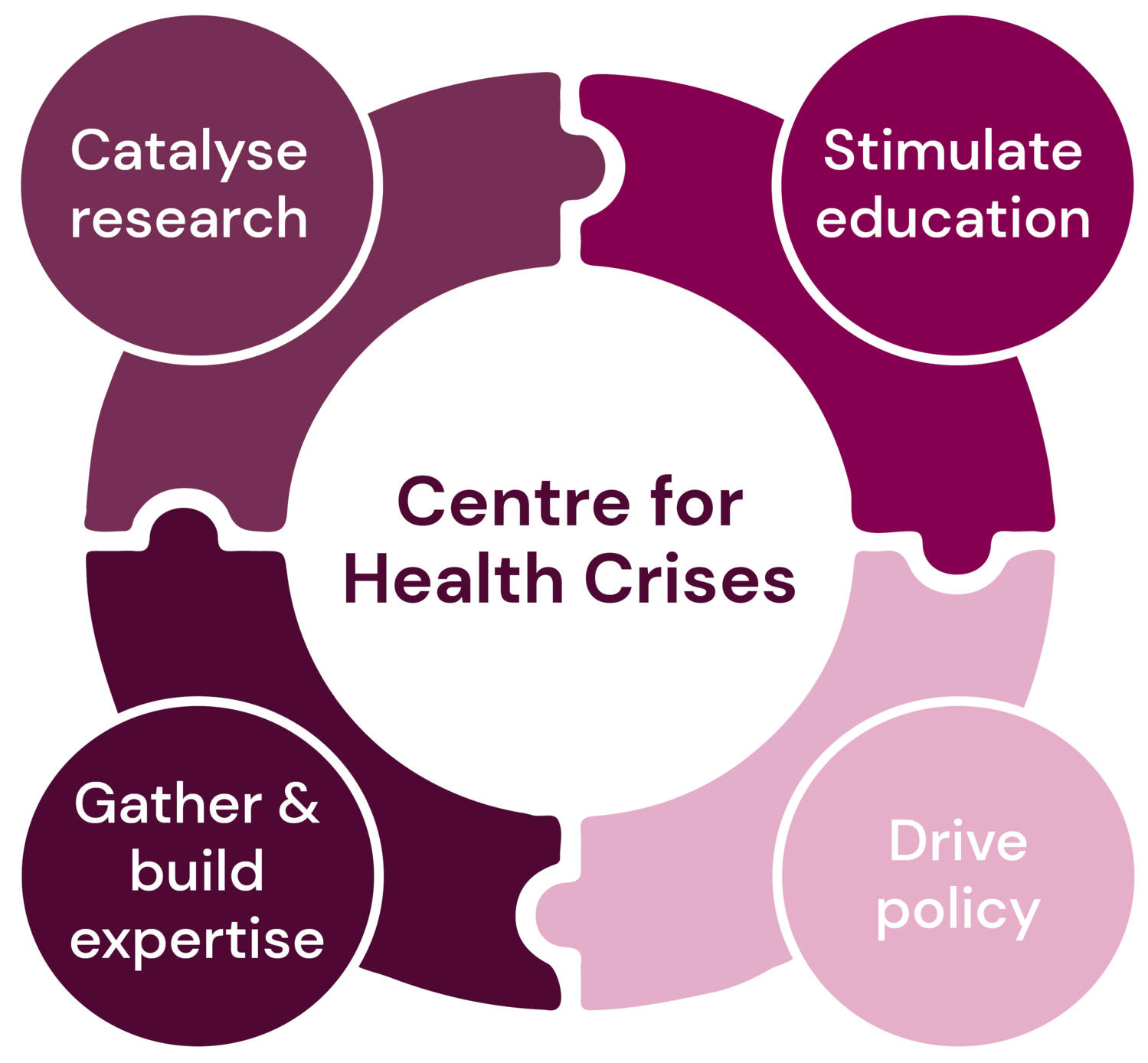 Circle consisting of four puzzle pieces where it says: catalyse research, stimulate education, gather and build expertise, drive policy