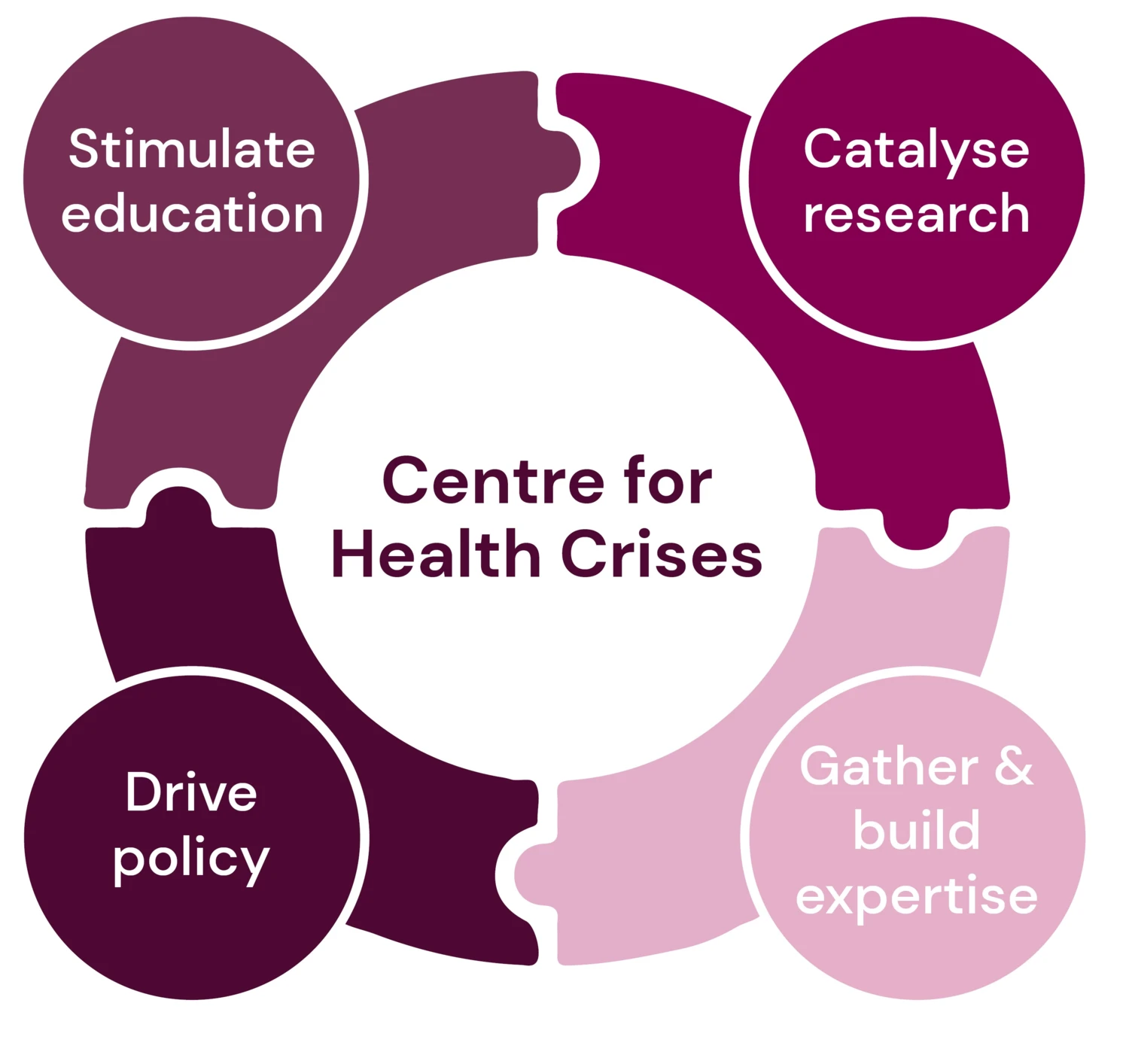 Circle consisting of four puzzle pieces where it says: catalyse research, stimulate education, gather and build expertise, drive policy