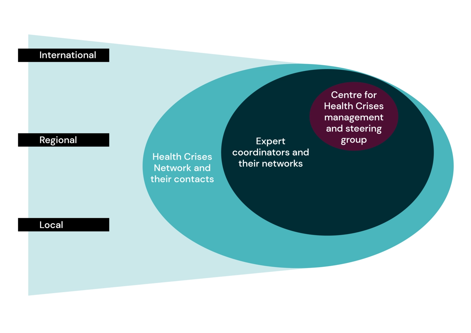 An illustration of collaborations in three levels, national, regional and international. The innermost circle says steering group and management, then expert coordinators and lastly the health crises network