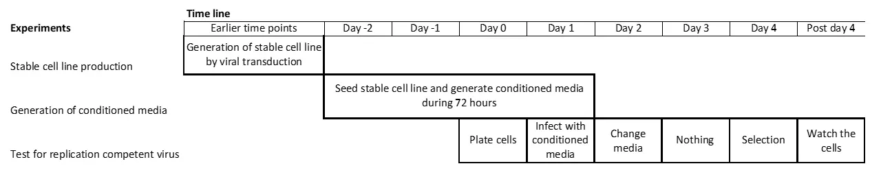 Schematic illustration of timeline for experiment.