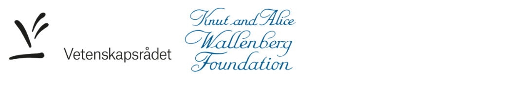 Logos Vetenskåpsrådet and Knut och Alice Wallenbergs Stiftelse.