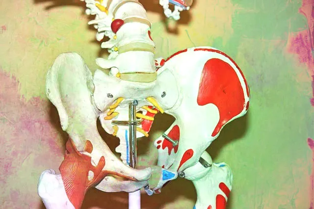 Graphic hip