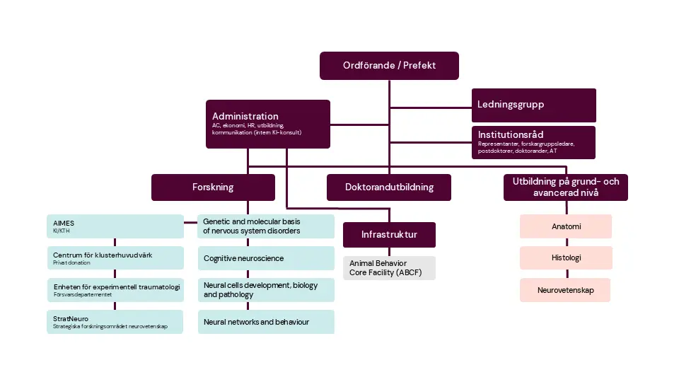 NEURO:s organisationsschema på svenska