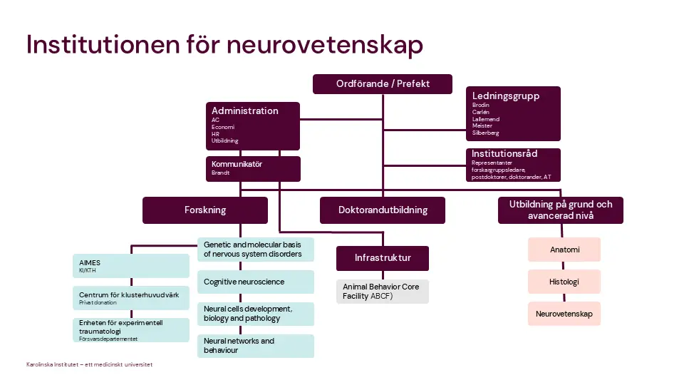 Organisationsschema för institutionen för neurovetenskap, 2024.