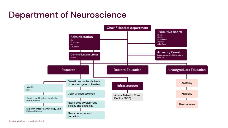 Organisational chart for the department of neuroscience, 2024-