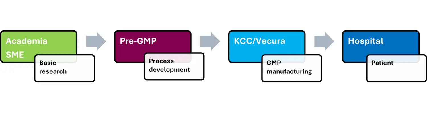 Illustration of the translation of Advanced Therapy Medicinal Products (ATMPs)