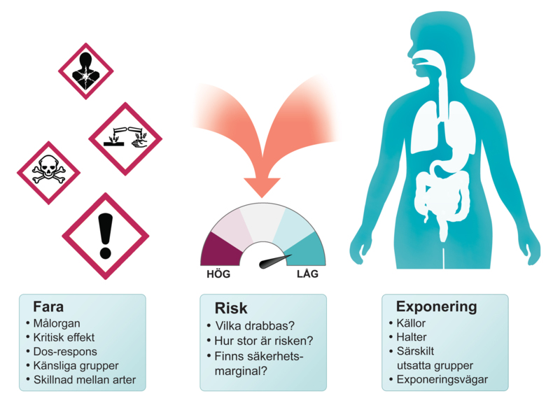 Genom att beskriva farorna med en kemikalie och kombinera det med kunskap om exponeringen blir det möjligt att bedöma risken