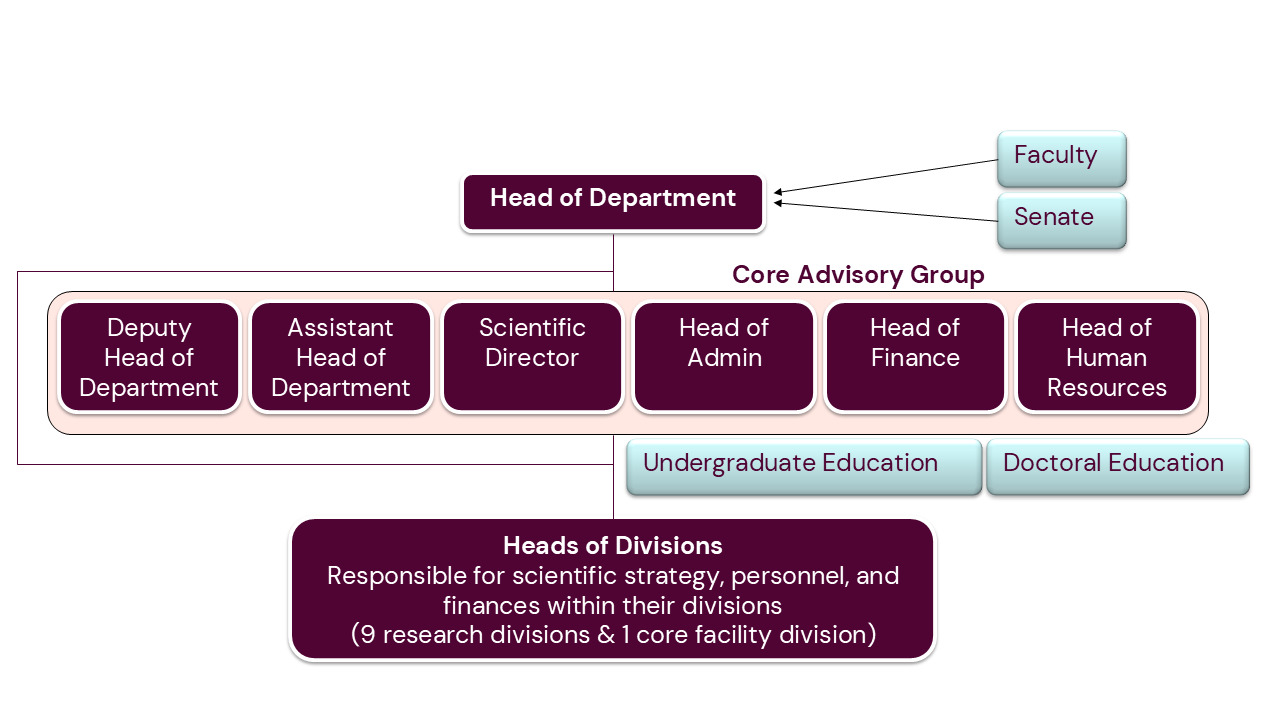 Schematic of MBB's organisation_2026