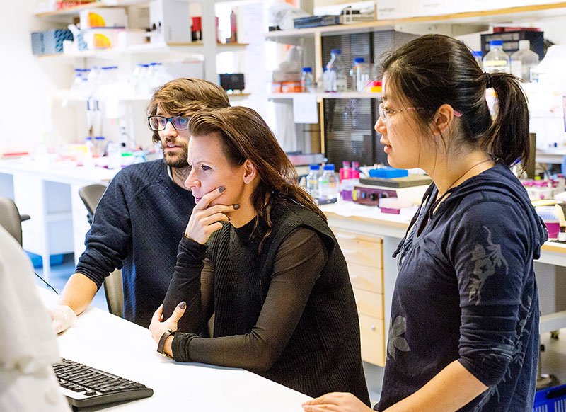 Researchers looking at computer