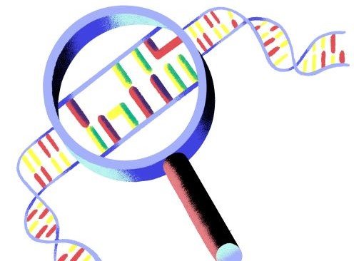 Illustration av ett förstoringsglas som upptäcker DNA