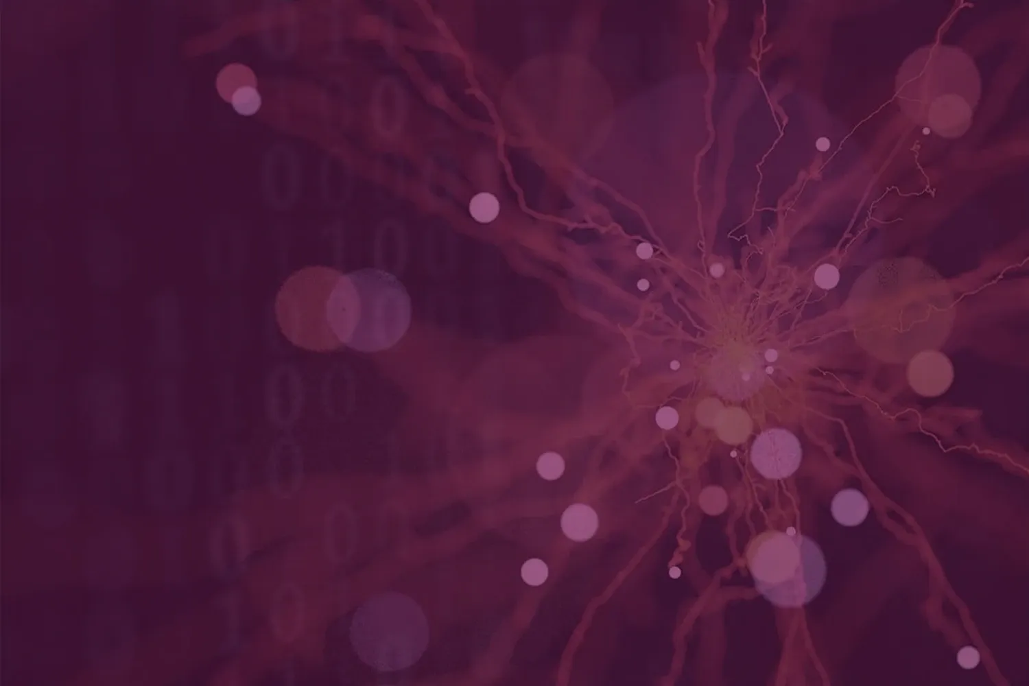 Numbers and abstract elements