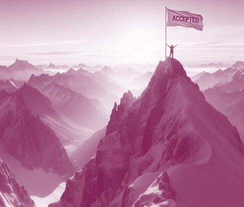 Illustration av en person som har klättrat upp på ett högt berg med en flagga där det står "accepted".