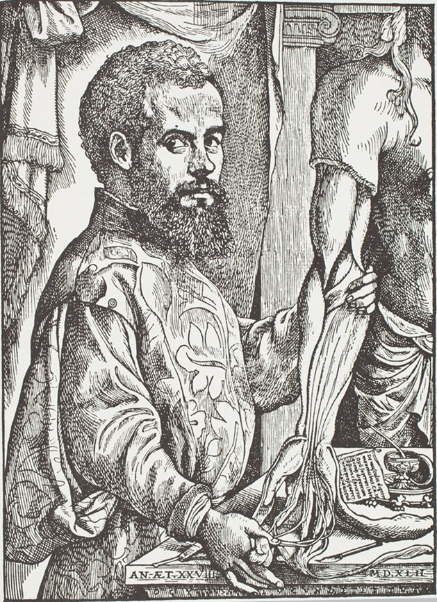 Andreas Vesalius, porträtt.