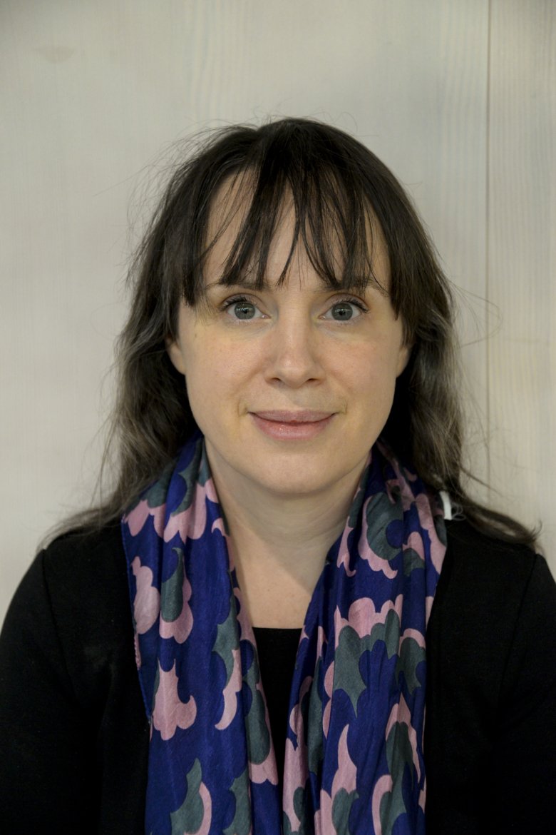 Anna-Clara Hollander, researcher, Department of Public Health