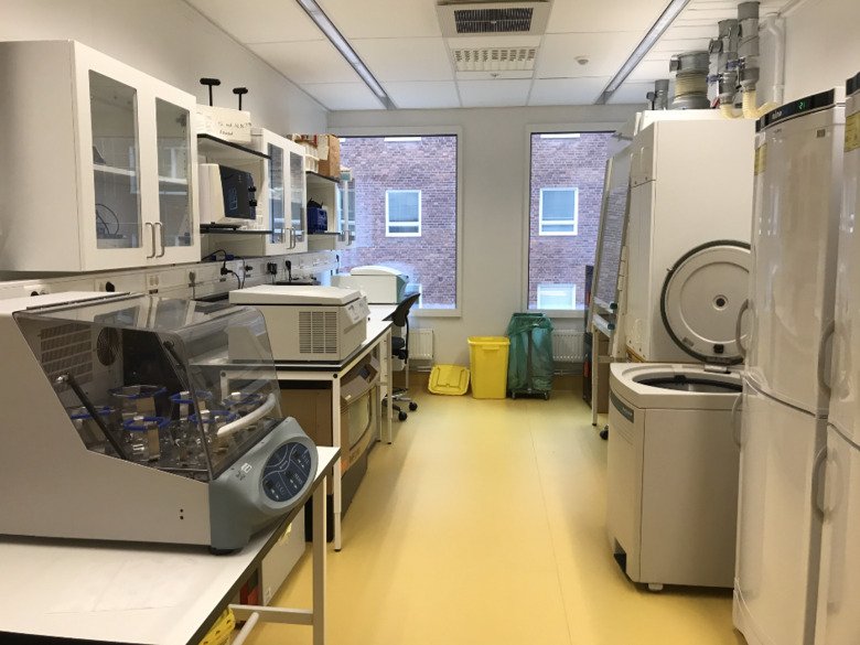Bacteria lab at BioClinicum