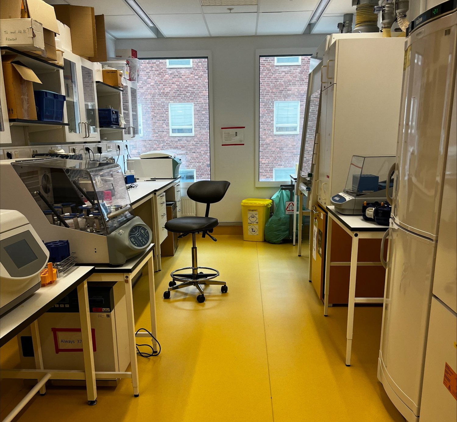 A laboratory.