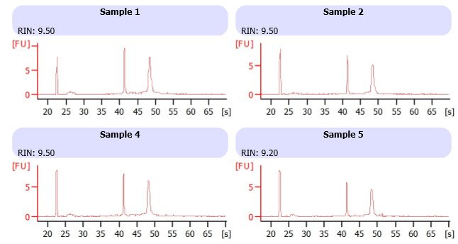 Bioanalyzer