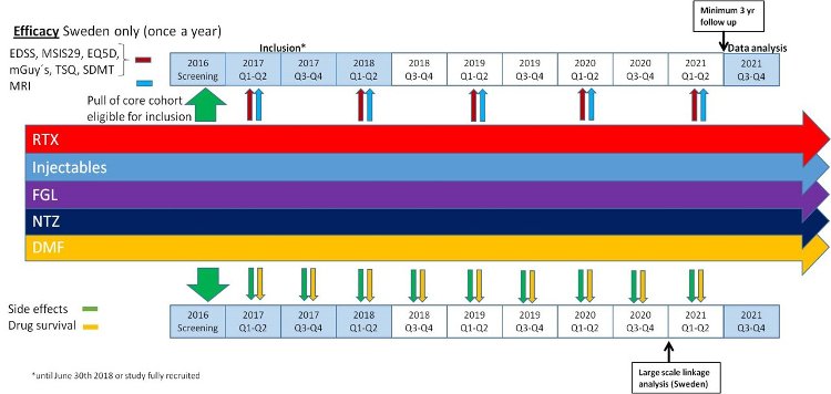 Time line for the study