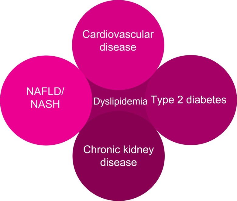 Grafisk illustration av temat för avdelningen för klinisk kemi: Cardiovascular Disease, Type 2 diabetes, Chronic Kidney Disease, NAFLD/NASH, Dyslipidemia.