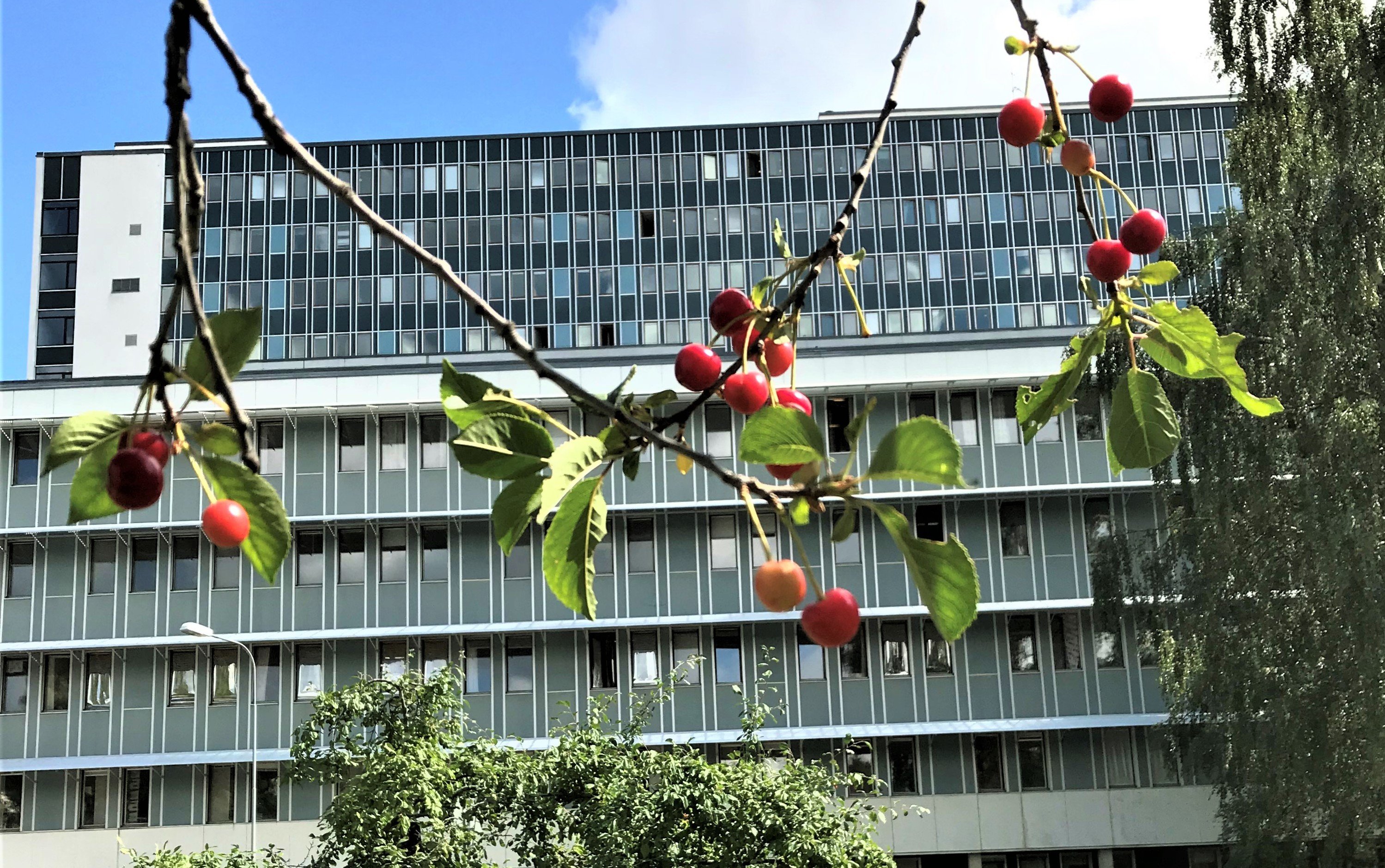 Danderyds hospital in summer