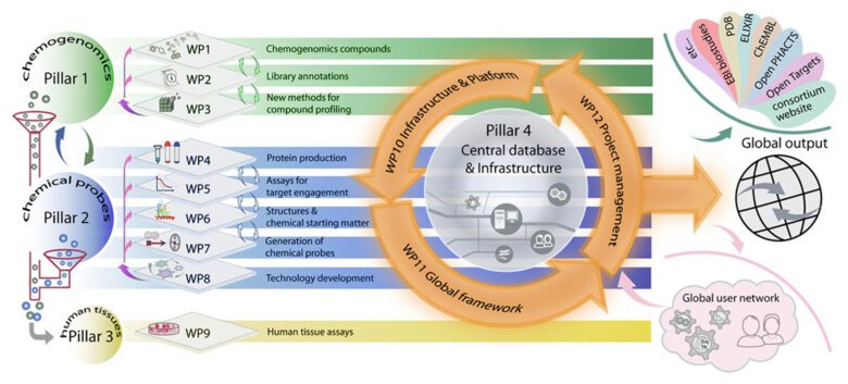 Diagram som visar EUbOPEN-projektets 12 olika arbetspaket.