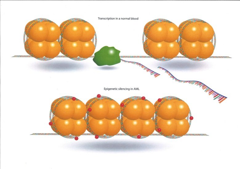 graphic illustration of tumours and genes