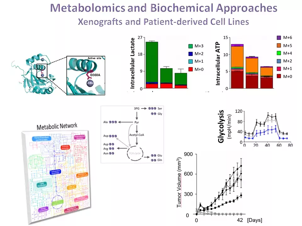 Metabolomics and Biochemical approaches