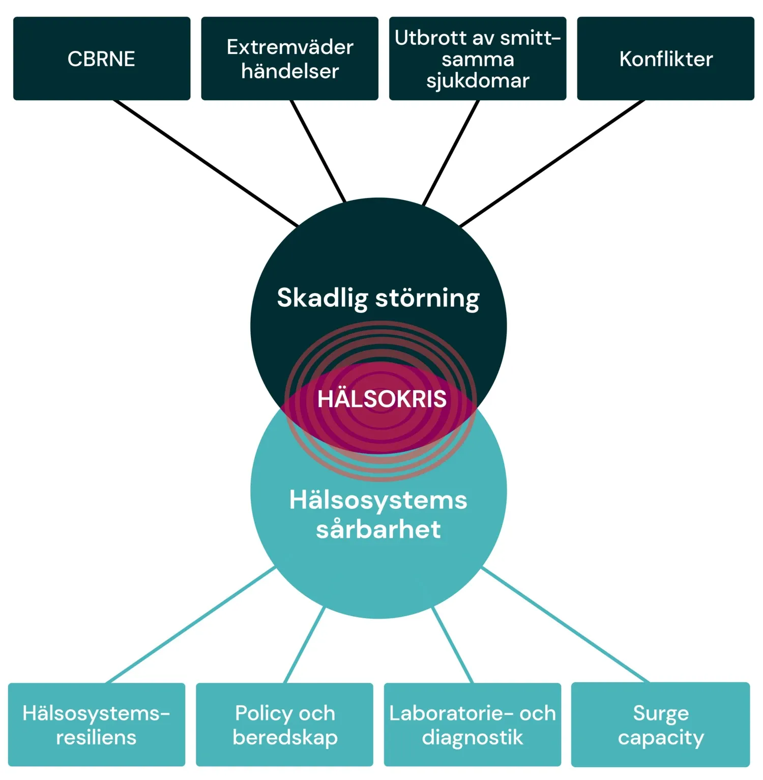 Two circles. In one it says disruptive situation, in the other health system vulnerability, where they meet it says health crisis. From the circles there are lines to boxes that state different health crises