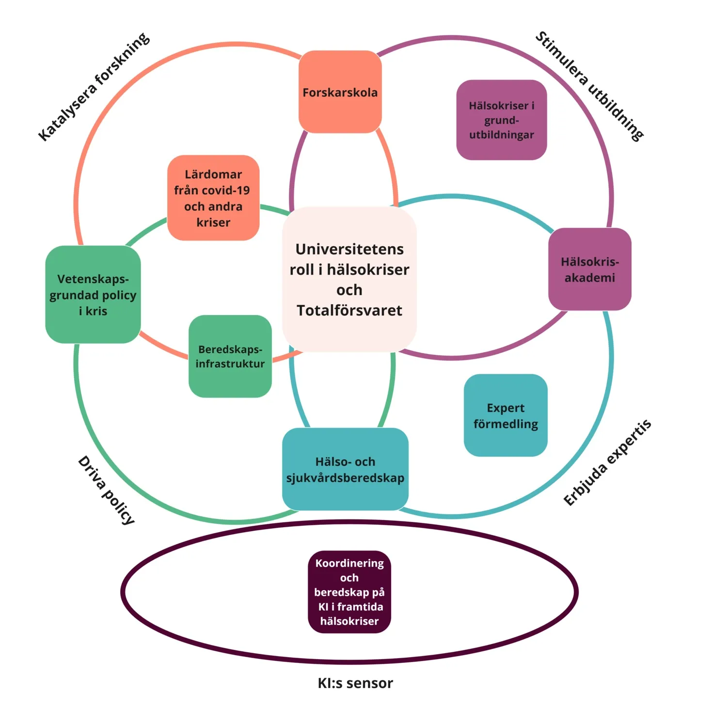 Overlapping circles. In the circles it says: learning from covid-19, Research school, health crises in undergraduate education, health crises accademy, expert mediation, health care preparedness and much more undergr
