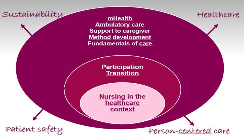 Research program model nursing
