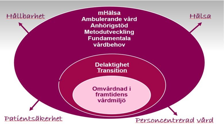 Research program model nursing