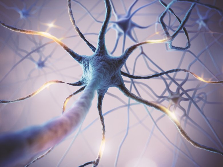 Neurala nätverk av hjärnceller.
