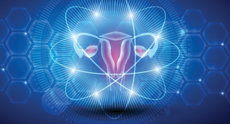 Illustration of female reproductive organ.