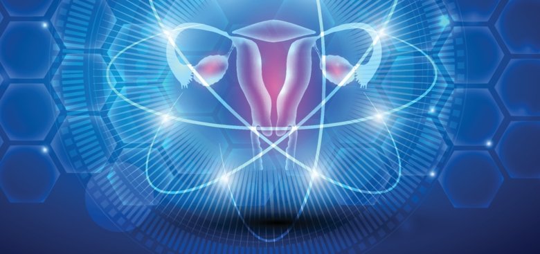 Illustration of female reproductive organ.