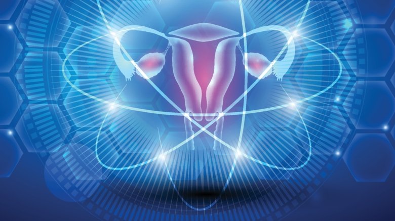 Illustration of female reproductive organ.