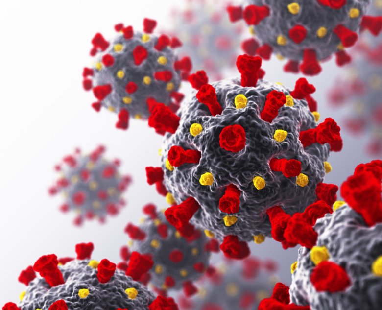 The virus SARS-CoV-2 that causes the disease COVID-19