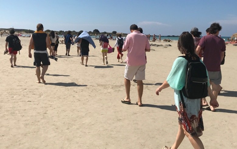 Members of the CarlenLab walking on the beach.