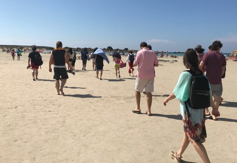 Members of the CarlenLab walking on the beach.