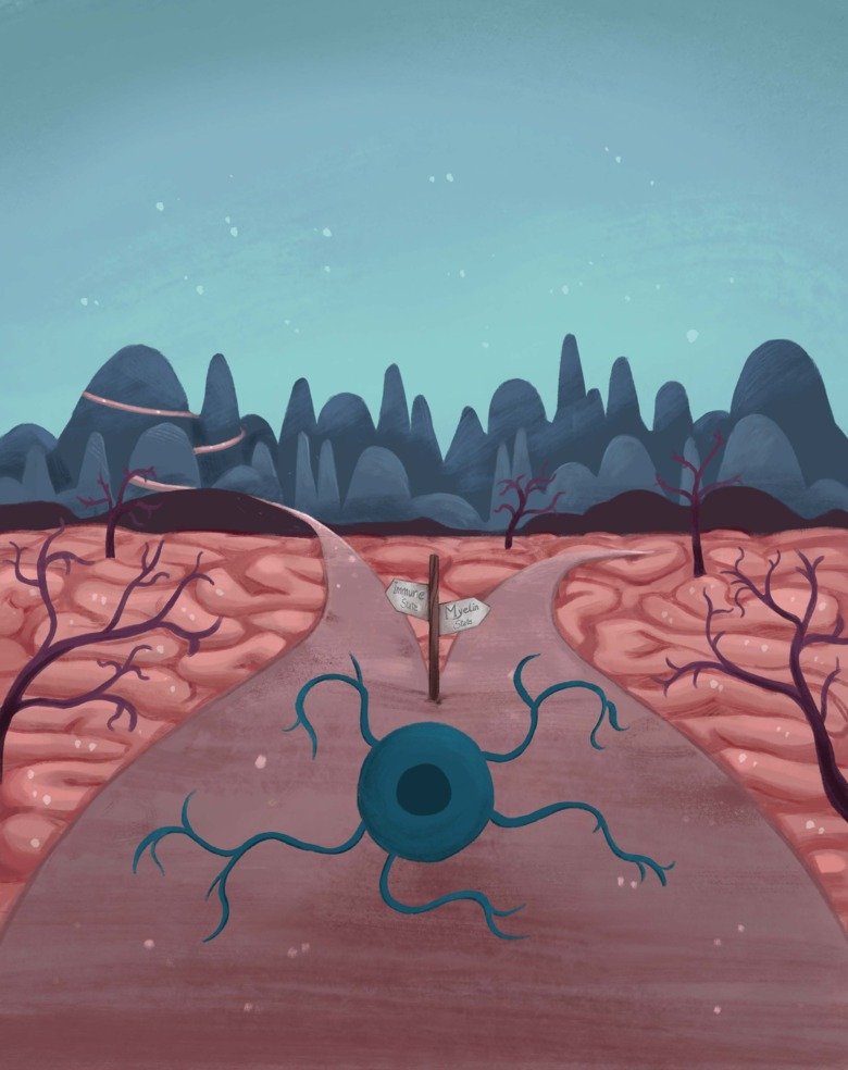 Oligodendroglia at a crossroad in multiple sclerosis: proceed to the Myelin State or overcome epigenetic mountains to achieve the Immune State.