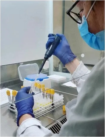 provhantering i labbmiljö