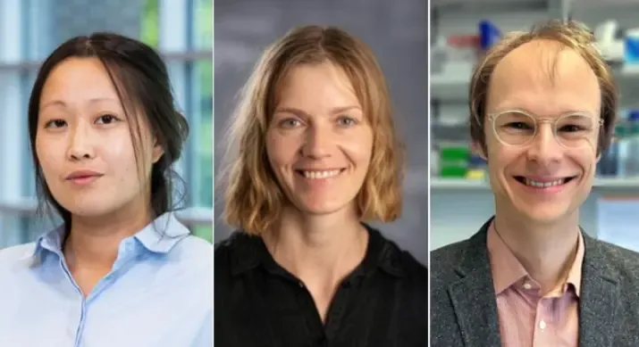 KIRI Fellows Amanda Andersson Rolf, Bjørt Katrinardóttir Kragesteen and Florian Rosenberger receiving the prestigious ERC Starting Grants for 2026