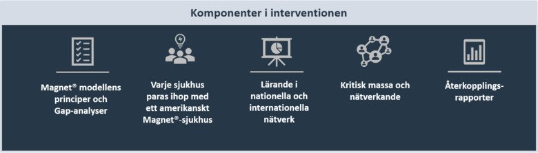 Komponenter i interventionen