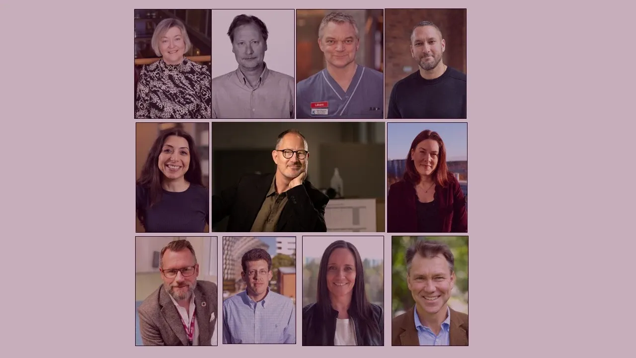 Collage with small portrait photos of the members in Labmed Managment team.