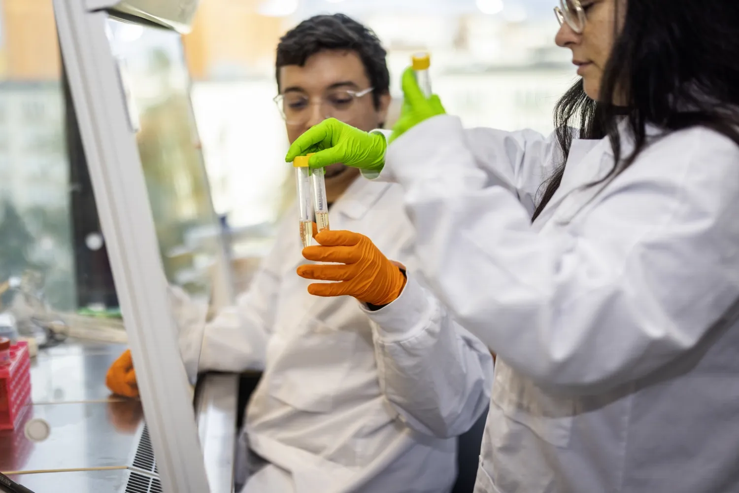 Detail image from lab