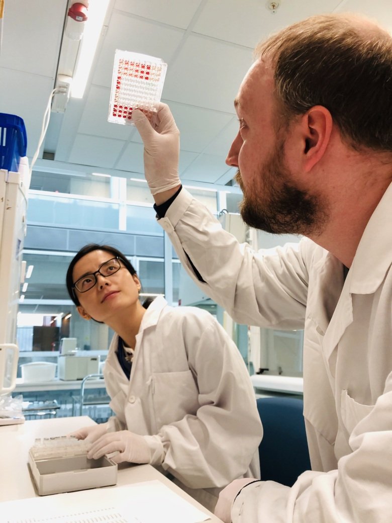 Photo of Xiangning Bai and Robert Van Domselaar, Researchers at Department of Laboratory Medicine