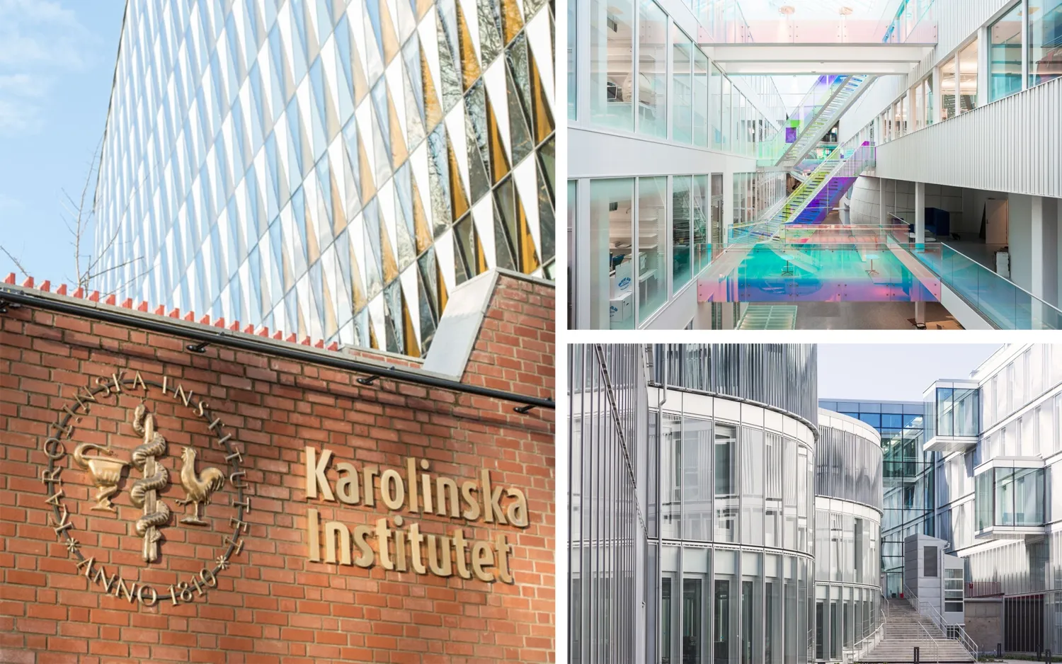 Collage with three images :Image 1 Aula Medica, Image 2 and 3 Neo